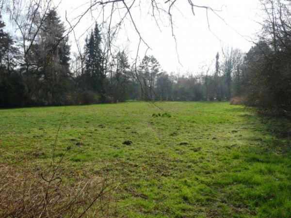 Friedhofsweg