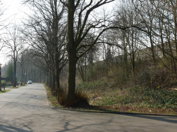 Nedderend