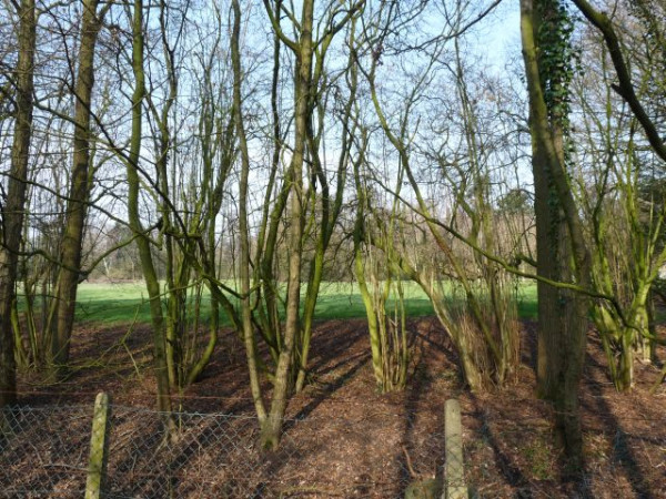 Schießstand Adolf-Grimme-Straße